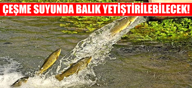 Kastamonu Üniversitesi "Kapalı Devre Balık Üretim Sistemi" geliştirdi