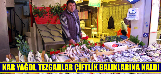 Balıkçılar denize açılamayınca, tezgahlar çiftlik balıklarına kaldı