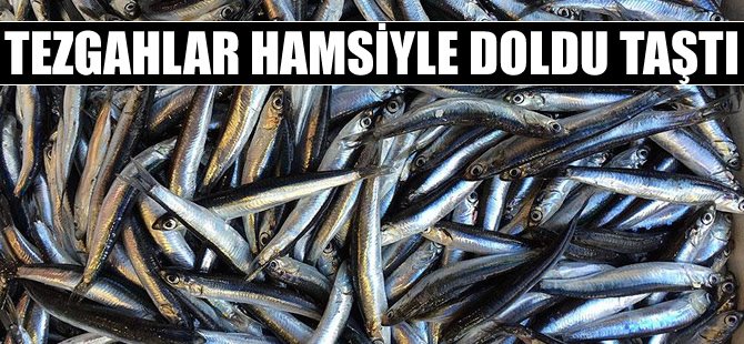 Tezgahlar hamsiyle doldu taştı