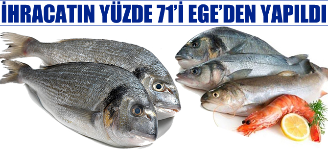 Su ürünleri ihracatının yüzde 71'i Ege'den