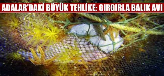 Adalar'daki büyük tehlike: Hayalet ağlar