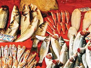 Marmara ve Ege'de balık azlığı fiyatları yükseltti