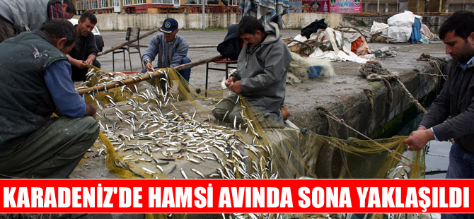 Hamsi kulağına kar suyu kaçmadan Karadeniz'i terketti