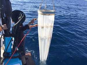 R/V TEAL TÜBİTAK Projesi çerçevesinde KKTC kıyılarını tarıyor