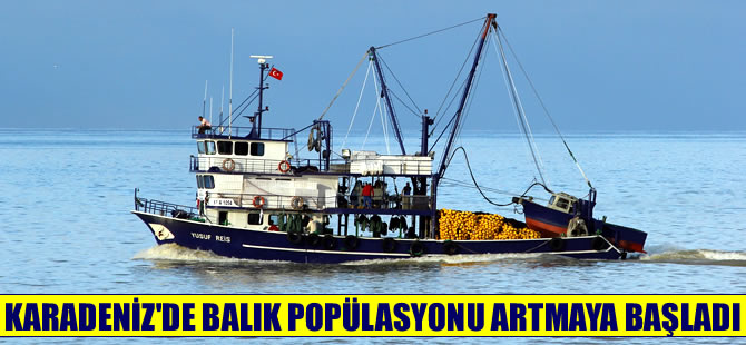 Karadeniz’de 14 balık türü yeniden görülmeye başladı