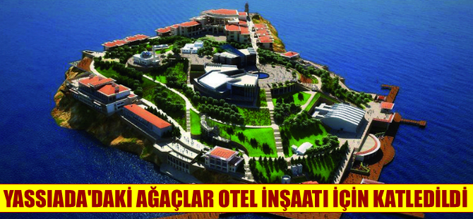 Yassıada'daki ağaçlar otel ve kongre merkezi yapmak için kesildi