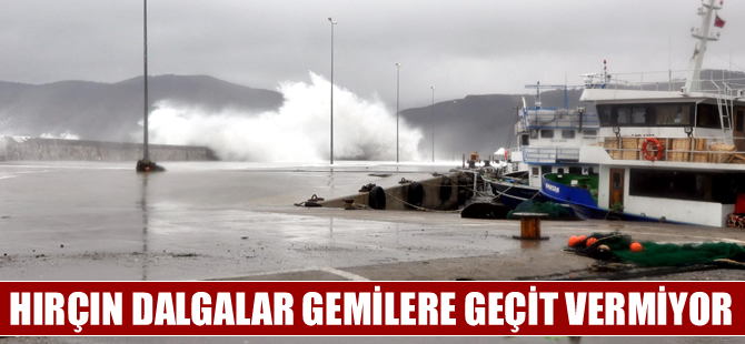 İstanbul'dan Trabzon'a giden bir kuru yük gemisi Amasra Limanı'na sığındı