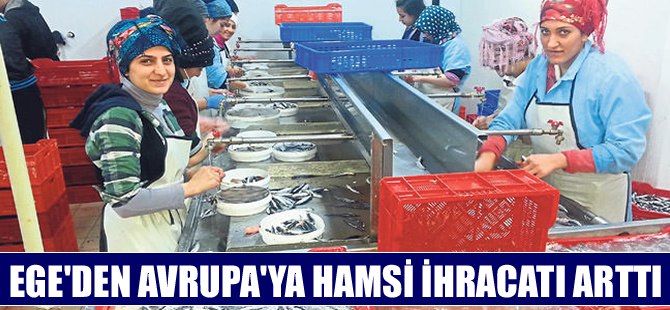 Ege'den Avrupa'ya her hafta 22 ton hamsi ihracatı