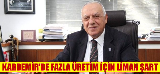 Kardemir Yönetim Kurulu Başkan Vekili Kamil Güleç: Fazla üretim için liman şart