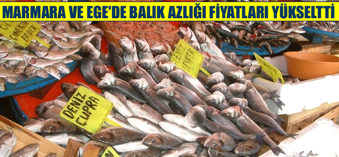 Marmara ve Ege'de balık azlığı fiyatları yükseltti
