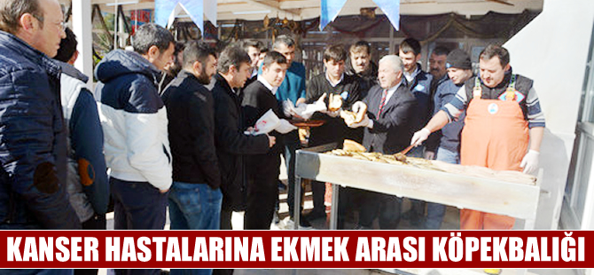 Kanser hastalarına ekmek arası köpekbalığı