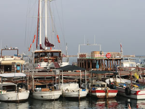 KKTC Balıkçılar Birliği'nden hükümete tepki “Kandırıldık!”