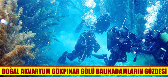 Sivas Gökpınar Gölü, balıkadamların gözdesi oldu