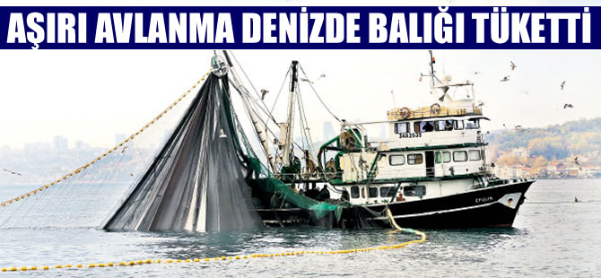 Balıkta bereketsiz sezonun nedeni: Aşırı avcılık