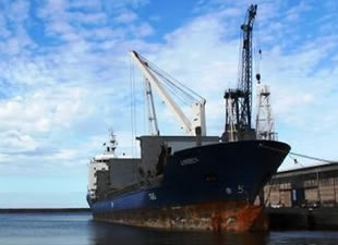 Hopa Port, 2016'nın ilk proje gemisi M/V Amber'i ağırladı