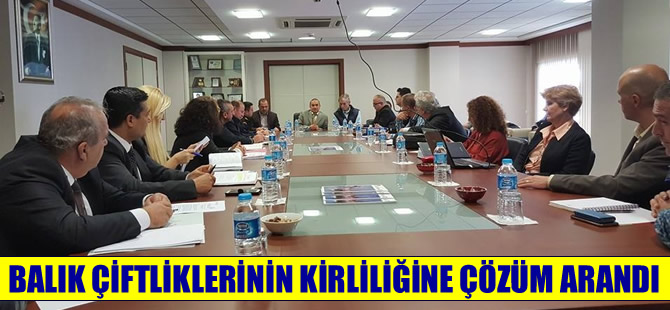 Çeşme'deki balık çiftliklerinin kirliliğine çözüm arayışı