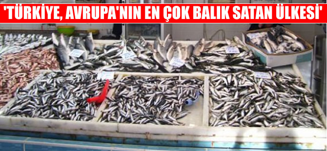 'Türkiye, Avrupa'nın en çok balık satan ülkesi konumunda'