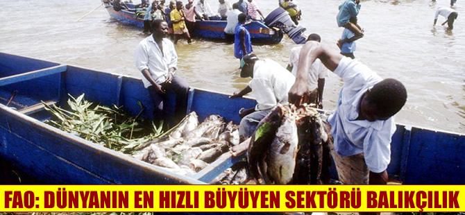 15. FAO Balık ve Su Ürünleri Balık Ticareti Alt Komite toplantısı Fas'ta başladı