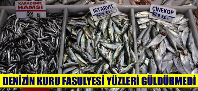 "Denizin kuru fasulyesi" bu sezon da yüz güldürmedi