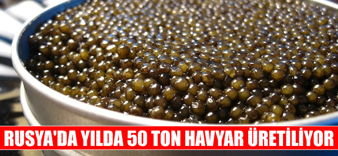 Rusya’da yılda 50 ton havyar üretiliyor