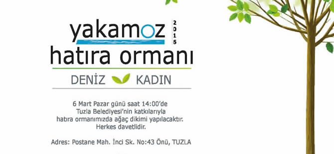Denizci kadınlar Tuzla'da 'hatıra ormanı' kuruyor