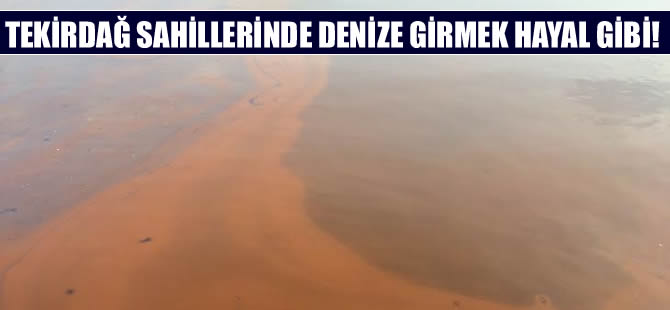 Tekirdağ'da deniz girilemeyecek kadar kirlendi