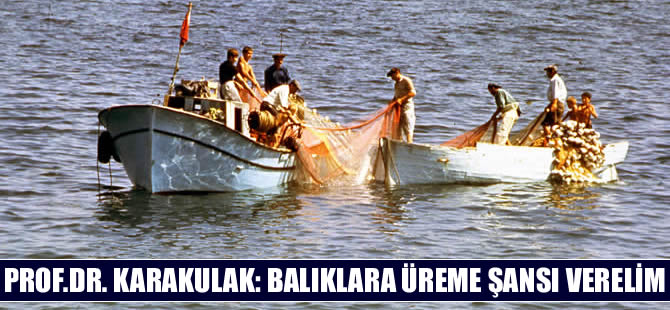 'Balık stoklarının korunması için etkili balıkçılık yönetimi yapılmalı'