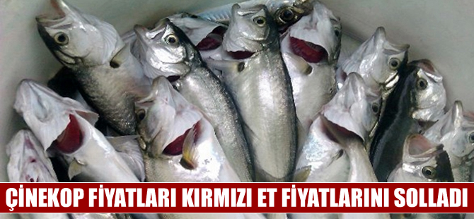 Çinekop fiyatları kırmızı et fiyatlarını geçti