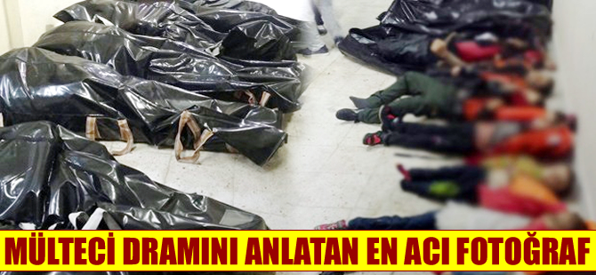 Mülteci dramının en acı fotoğrafı Didim'den geldi