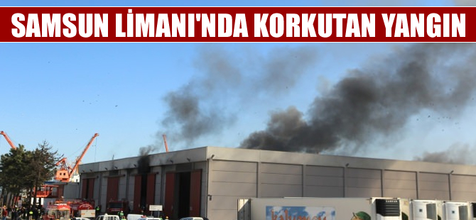 Samsun Limanı'nda korkutan yangın