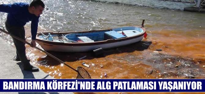 Bandırma'da denizin rengi kızıla dönüştü