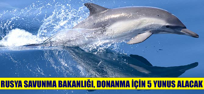Rusya Savunma Bakanlığı, donanma için 5 yunus alacak