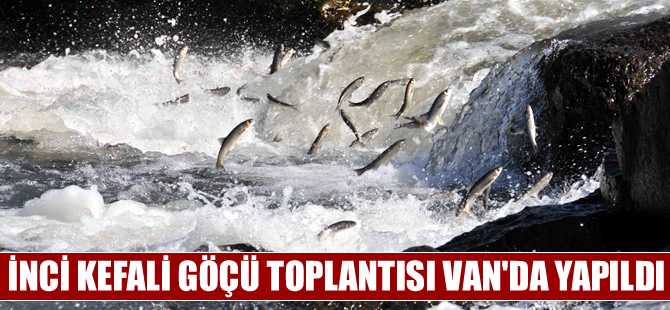 "İnci Kefali Göçü" toplantısı Van'da yapıldı