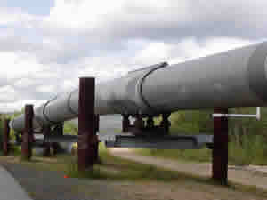 "Kuzey Akım-2 Türkiye'yi olumsuz etkilemez"