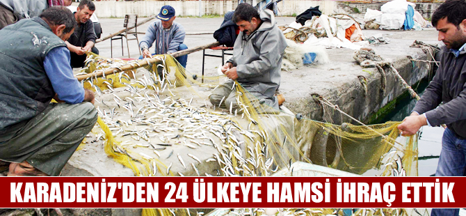 Karadeniz hamsisi 24 ülkeye satıldı