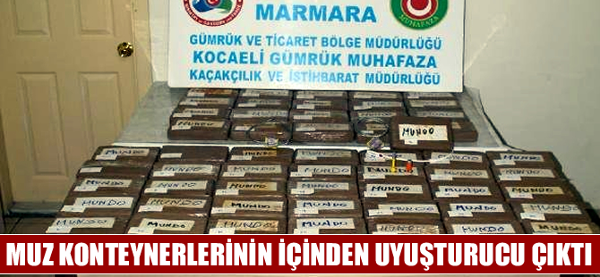 Kocaeli'de limana yanaşan gemiden muz yerine kokain çıktı