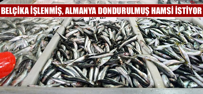 Belçika işlenmiş, Almanya dondurulmuş hamsiyi sevdi