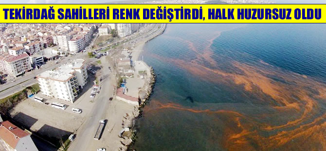 Tekirdağ sahilleri renk değiştirdi, halk huzursuz oldu