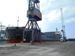 Hopaport 'a  TANAP için 16 gemi ile 2 bin 603 boru taşındı