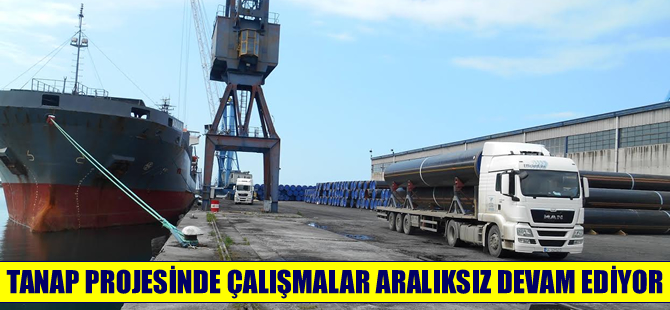 Hopaport 'a  TANAP için 16 gemi ile 2 bin 603 boru taşındı