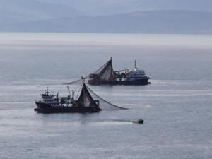 Filipinler karasularında kaçak avlanan 25 Çinli balıkçıyı tutukladı