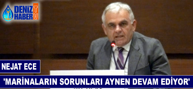 Nejat Ece: Marinalarımızın sorunları aynen devam ediyor