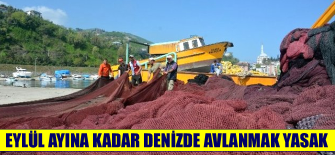 Türkiye’de tüm denizlerde balıkçılar için av yasağı başladı