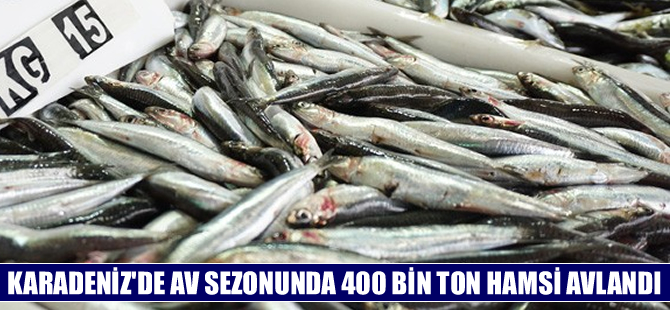 Karadeniz'de av sezonunda 400 bin ton hamsi avlandı