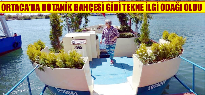 Botanik bahçesini andıran tekne turistlerin ilgisini çekiyor