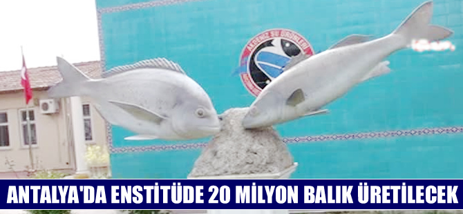 Antalya’daki enstitüde 20 milyon balık üretilecek
