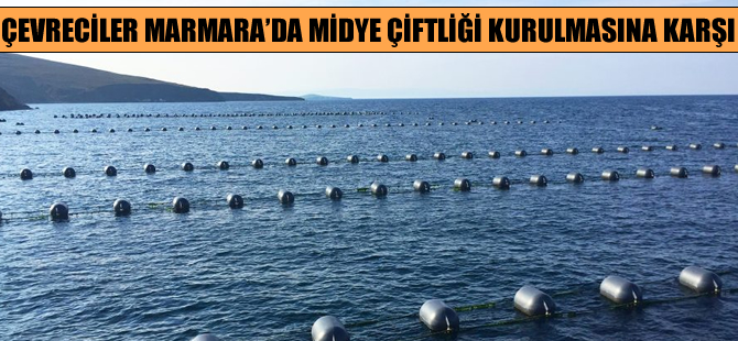 Çevreciler Marmara'da midye çiftliği kurulmasına karşı