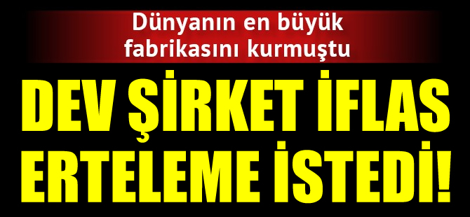 Genpower Jeneratör iflas erteleme istedi