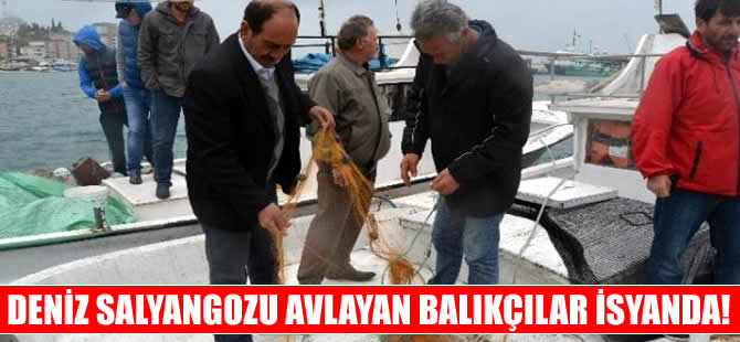 Deniz salyangozu avlayan balıkçılar isyanda