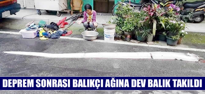 Tayvanlı balıkçının ağına devasa balık takıldı